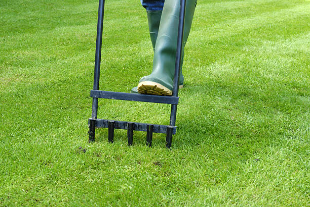 LawnLux Landscaping 